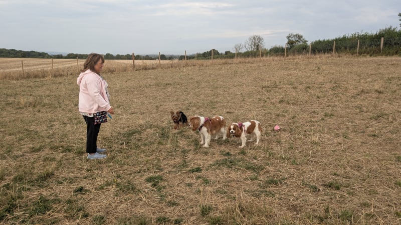 Brownie and Sparrow and Hamish