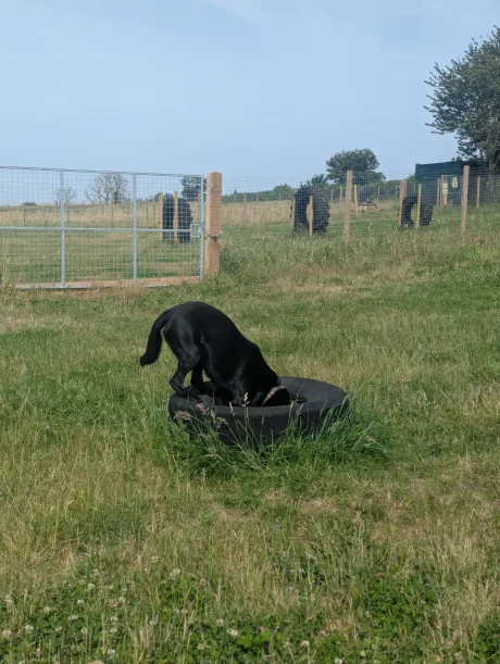 That's one way to explore!