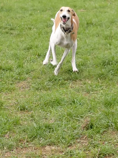 Max's first time, the pic says it all! Had a great time!